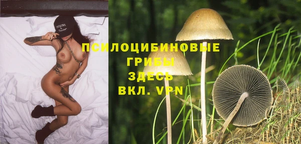 мяу мяу мука Абинск