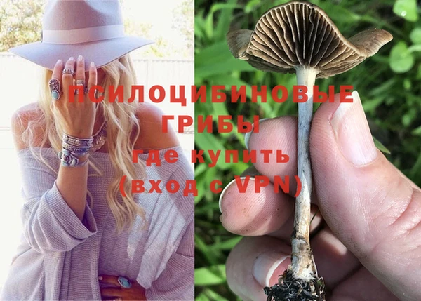 гидра Абаза