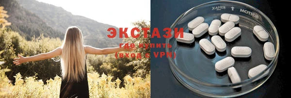 гидра Абаза